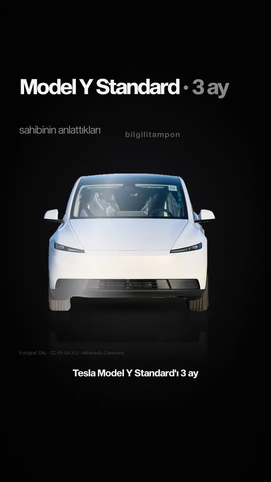 Tesla Model Y Standard, 3 ay videosunun kapağı